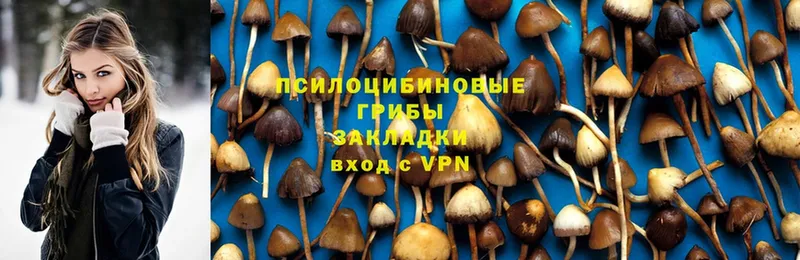 Псилоцибиновые грибы MAGIC MUSHROOMS  хочу наркоту  кракен онион  Белорецк 